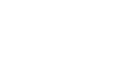 DAS 1090